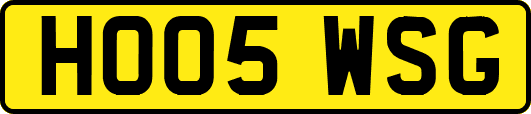HO05WSG