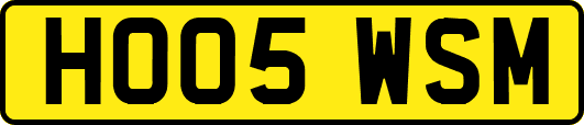 HO05WSM