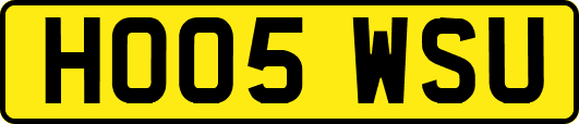 HO05WSU