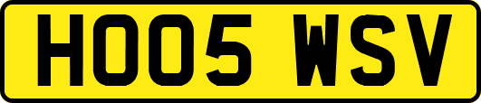 HO05WSV