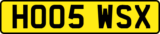 HO05WSX