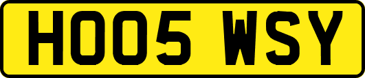 HO05WSY