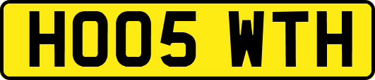 HO05WTH