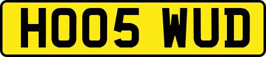 HO05WUD