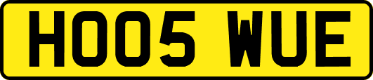 HO05WUE