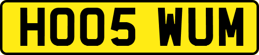 HO05WUM