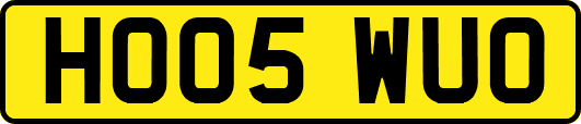 HO05WUO