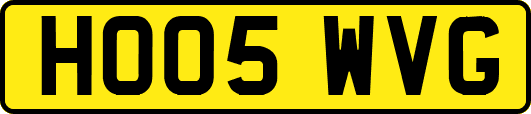 HO05WVG