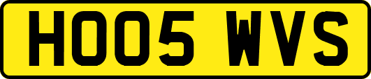HO05WVS