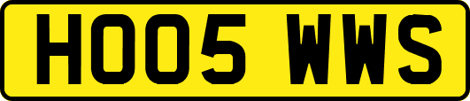 HO05WWS