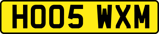 HO05WXM