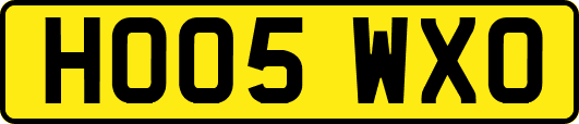 HO05WXO