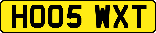 HO05WXT