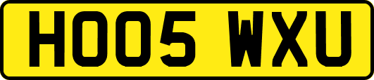 HO05WXU