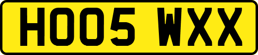 HO05WXX