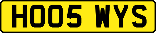 HO05WYS
