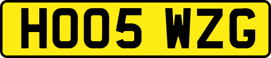 HO05WZG
