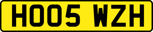 HO05WZH