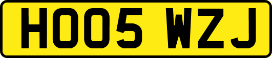 HO05WZJ