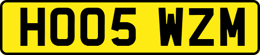 HO05WZM