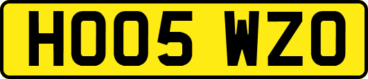 HO05WZO