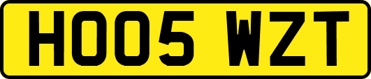 HO05WZT
