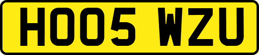HO05WZU