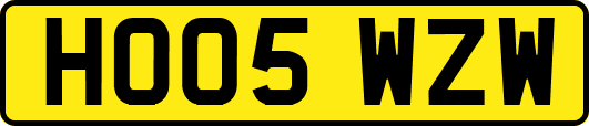HO05WZW