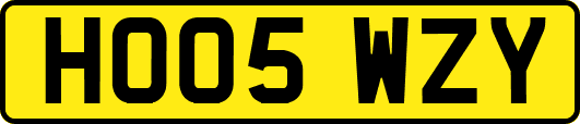HO05WZY