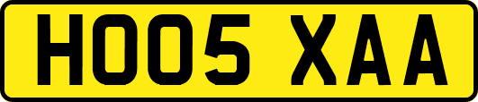 HO05XAA
