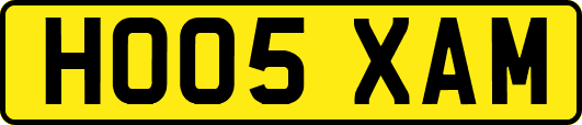 HO05XAM