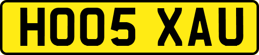 HO05XAU