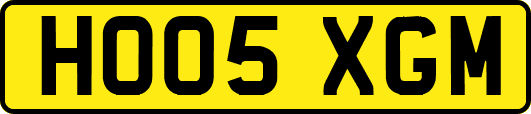 HO05XGM
