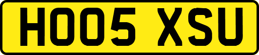 HO05XSU