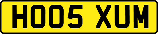 HO05XUM
