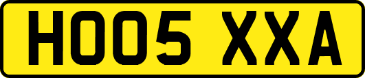 HO05XXA