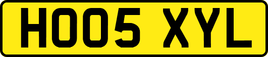 HO05XYL