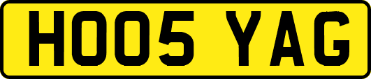 HO05YAG