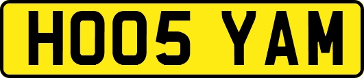 HO05YAM