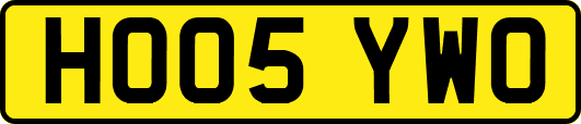 HO05YWO