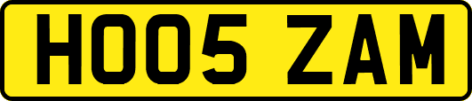 HO05ZAM