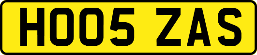 HO05ZAS
