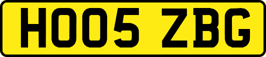 HO05ZBG
