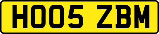 HO05ZBM