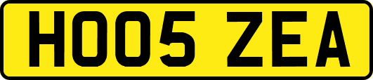 HO05ZEA