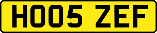 HO05ZEF