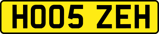 HO05ZEH