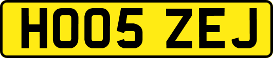 HO05ZEJ