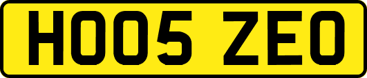 HO05ZEO