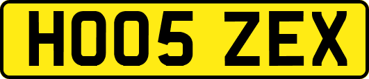 HO05ZEX